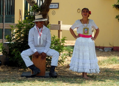 Peruvian Step Horse Show.